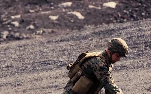 3/3 conducts integrated training, PTA