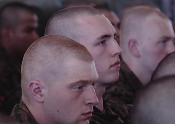 Delta Company -  Pick Up