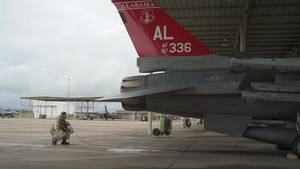 Red Tails Conduct Readiness Exercise