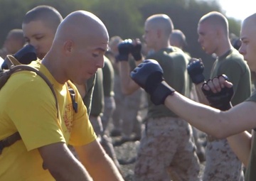 Hotel Company - MCMAP Training Session