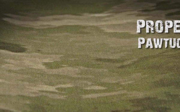 Tech Warrior OPS Participant Spotlight: Propel LLC