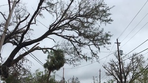 Hurricane Michael B-Roll Panama City Beach