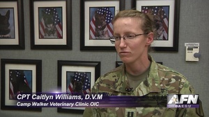 AFN Daegu - Pacific Update - Camp Walker Vet Clinic