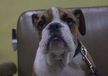 MCRD Welcomes Its Newest Recruit