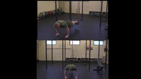 TRX Plank On Hands