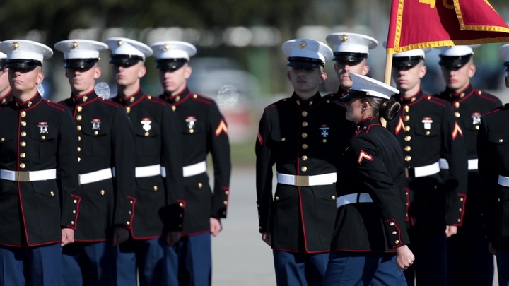 Marine Corps Uniforms, Ranks, Symbols Marine Corps Dress Blues, Marine ...
