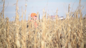 2018 Military Appreciation Pheasant Hunt