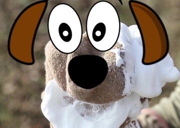 Spot: Don't pet stray dogs