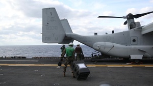 VMM-365 returns home after Trident Juncture