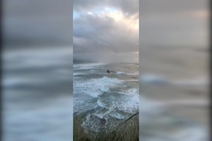 Unconscious surfer rescued by Coast Guard near Newport, Oregon