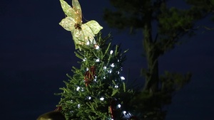MCAS New River Tree Lighting Ceremony