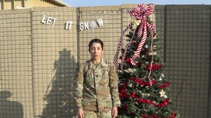 Holiday Greetings - Capt. Rosaimy Grady (spanish)