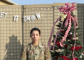 Holiday Greetings - Capt. Rosaimy Grady (spanish)