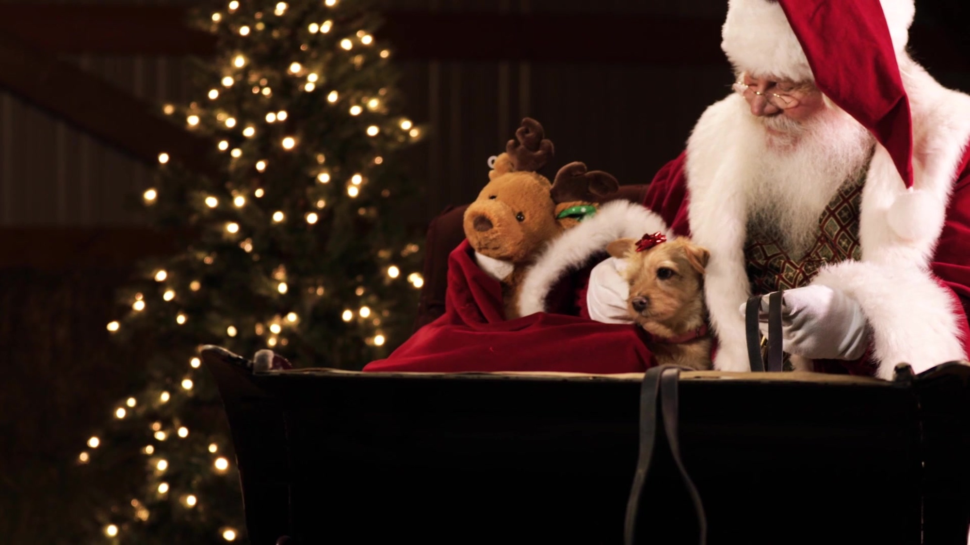 A video shows Santa in his sleigh and details how NORAD tracks him every year on Christmas Eve.