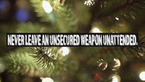 Privately Owned Weapons Safety