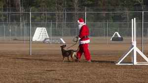 Santas' canine course