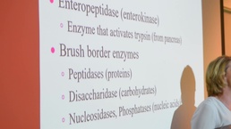 EMDP2 Sailors and Doctors