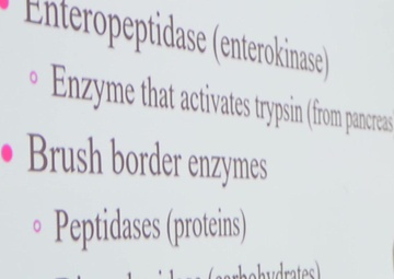 EMDP2 Sailors and Doctors