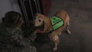 178th Wing Animal Assisted Activities Program promotes well-being for Airmen
