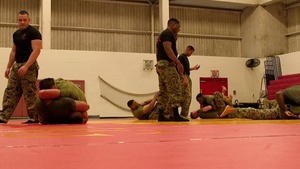 Demonstration with Special MMA Clinic