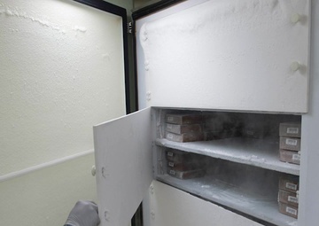 Directorate of Clinical Support Services