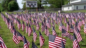 Veterans Day flags blowing in the wind
