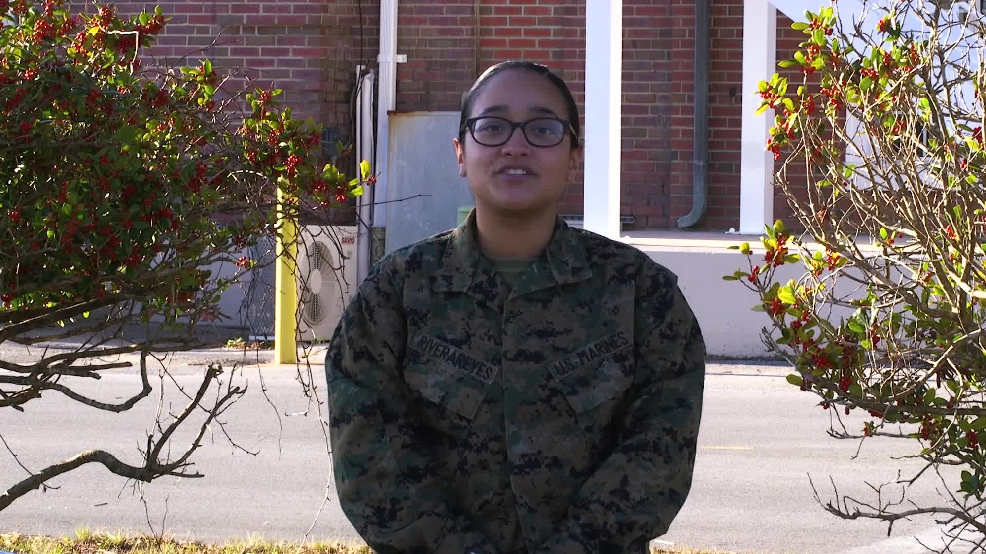 Lance Cpl. Yadeira N. Riverareyes, a Marine stationed at Marine Corps Air Station, Cherry Point, N.C. Sends his friends and family in Tampa, FL a happy holiday greetings.
