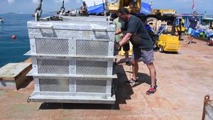 Defense POW/MIA Accounting Agency - 7th Engineer Dive Detachment conduct recovery operations in Vietnam