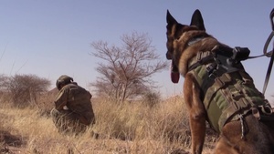 A Man and his Dog: Cullen and Klepa