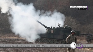 DoD News in 2: 18 December, 2018