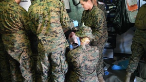 Role II Field Training