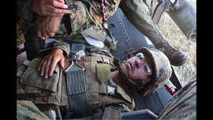 Flight Medic Training