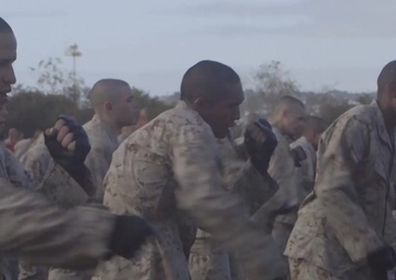 Charlie Company - MCMAP