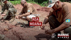 Marine Minute: Koa Moana