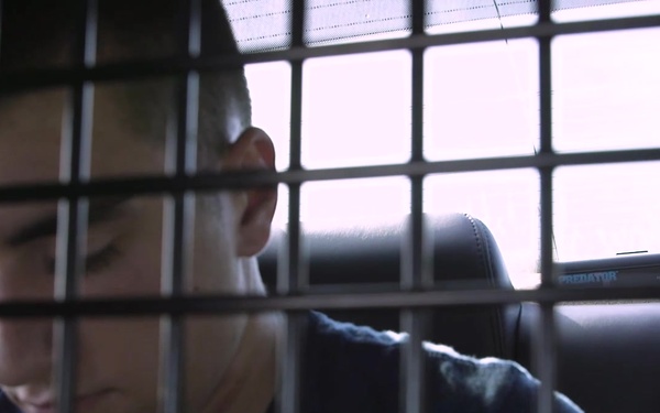 Shark Safety | Drinking and Driving