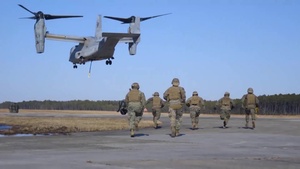 2nd Marine Logistics Group Year in Review
