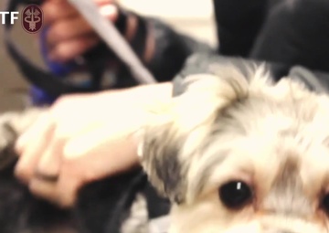 Wiesbaden Veterinary Treatment Facility