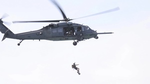Operation Porcupine