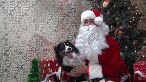Santa Claus visits Iwakuni Veterinary Treatment facility (B-Roll)