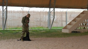 I Am The Mission! Episode 71 Military Working Dog Handler