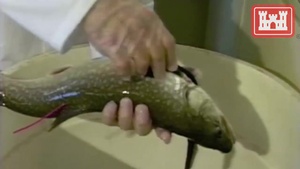 Secondary Benefits of Buffalo District's Harpersfield Dam Project in Geneva, OH