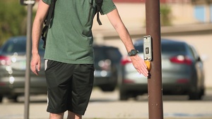 Shark Safety: Crosswalk Safety