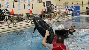 Water Survival Joint Training