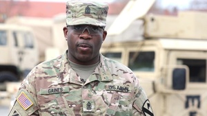 91st BEB's 1st. Sgt. Richard Gaines: A Model of NCO Leadership