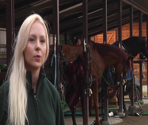Tama Hills Horse Riding