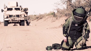 The EOD Mission with 741st Explosive Ordnance Disposal