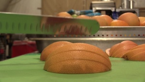Creative Cooking on Nigerien Air Base 101
