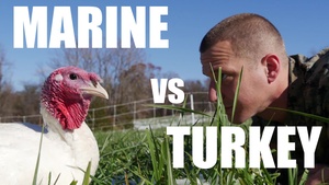 Happy Turkey Day