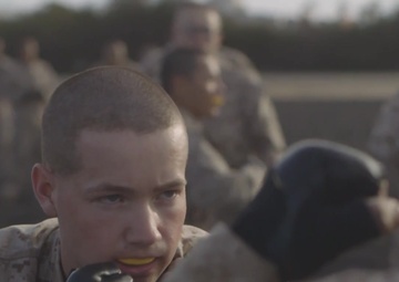 Bravo Company - MCMAP