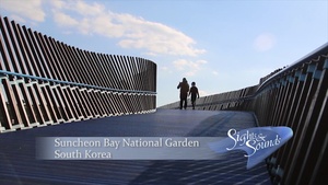 Suncheon Bay National Garden, South Korea
